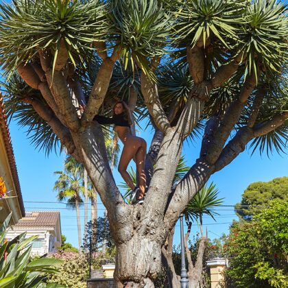 Agatha Vega 042 05-agatha-vega-palm-tree-by-watch-4-beauty.jpg