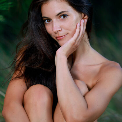 Aleksandrina 012 13-aleksandrina-pine-forest-by-met-art.jpg