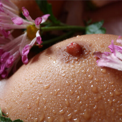 Anastasia Petrova 017 03-anastasia-petrova-fine-pussy.jpg