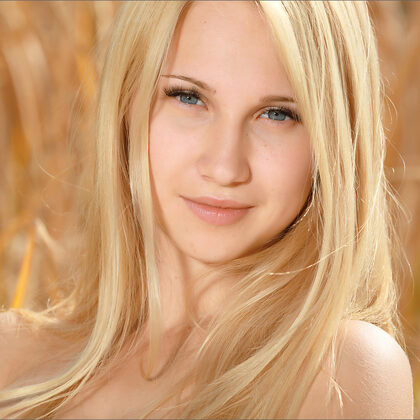 Belonika 004 02-belonika-golden-by-mpl-studios.jpg