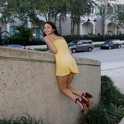 Carmen Rae 001 08-carmen-rae-domesticated-iguanas-by-zishy.jpg