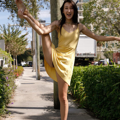 Carmen Rae 001 09-carmen-rae-domesticated-iguanas-by-zishy.jpg