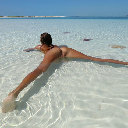 Clover 095 05-mango-a-amazing-view.jpg