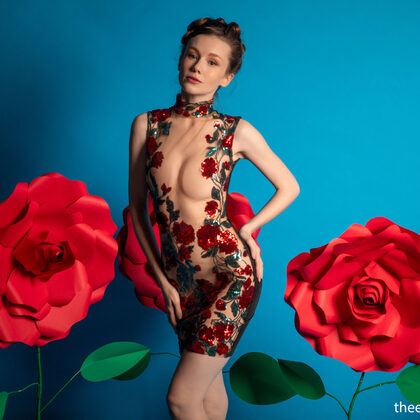 Emily Bloom 019 01-emily-bloom-paper-rose.jpg