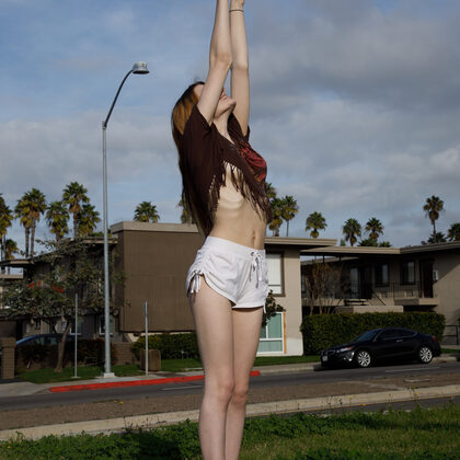 Lauralynn Parrish 002 02-lauralynn-parrish-give-peace-a-tank-by-zishy.jpg