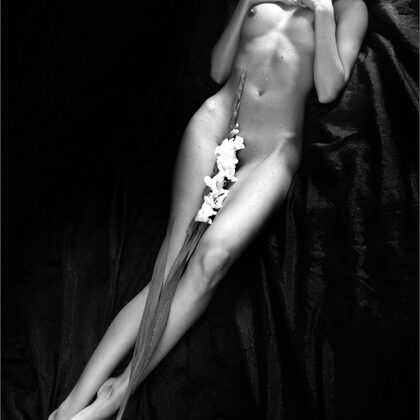 Lissa A 007 09-kamilla-glad-etude-by-mpl-studios.jpg