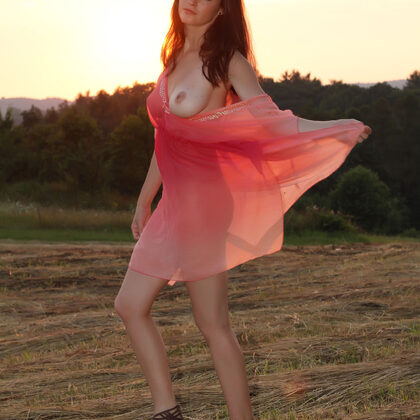 Lu Lu 002 05-met-art-presenting-lucie.jpg