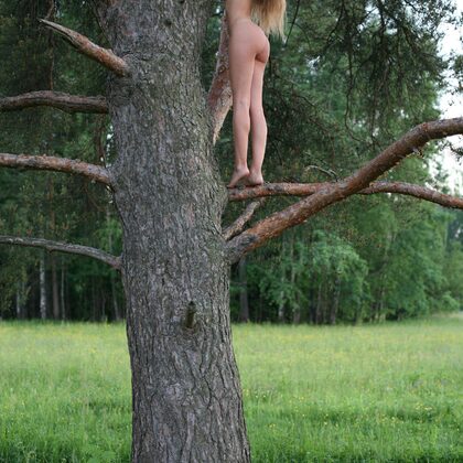 Mascha 004 10-mascha-on-a-tree.jpg