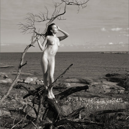 Nata 003 02-nata-aftermath.jpg