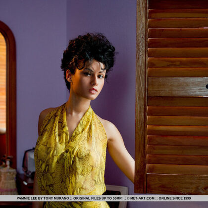 Pammie Lee 042 03-sexy-pammie-lee.jpg