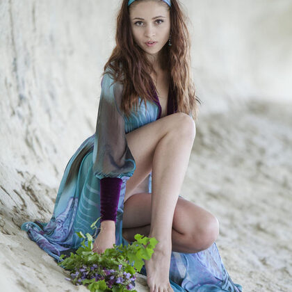 Red Fox 010 09-new-model-red-fox.jpg