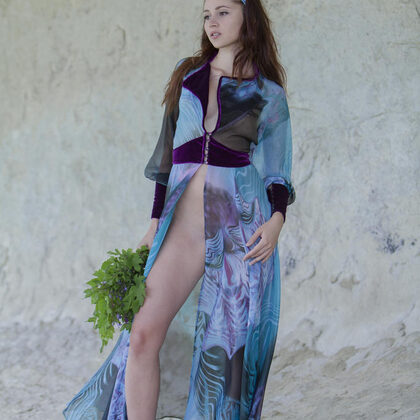 Red Fox 010 10-new-model-red-fox.jpg