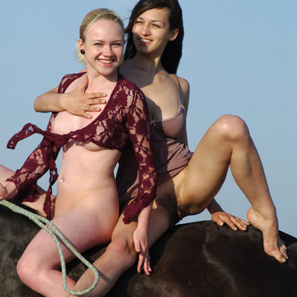 Sofi A 041 08-horses-and-sofi-a.jpg