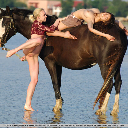 Sofi A 041 11-horses-and-sofi-a.jpg