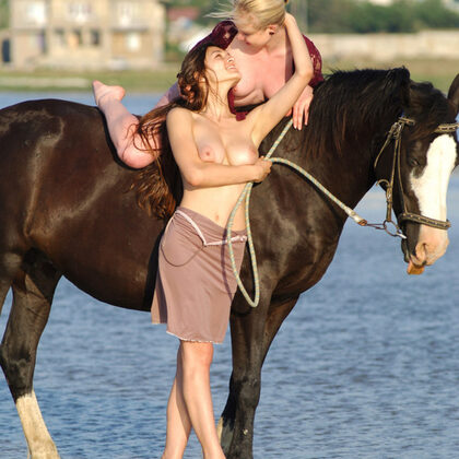 Sofi A 041 14-horses-and-sofi-a.jpg