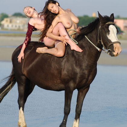 Sofi A 041 18-horses-and-sofi-a.jpg