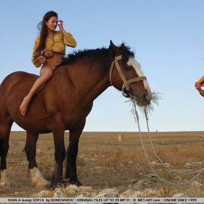 Sofi A 071 09-sofia-a-outside.jpg