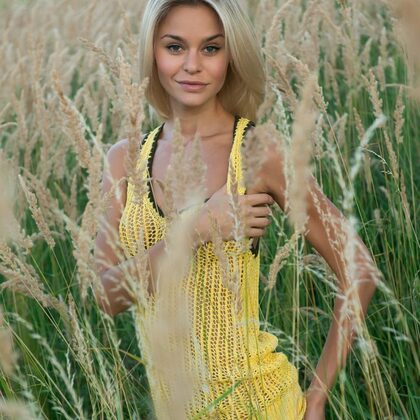 Taylor A 006 01-taylor-a-in-yellow.jpg