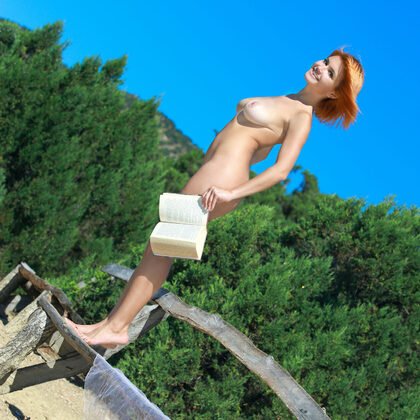 Violla A 020 06-violla-a-one-of-the-best.jpg