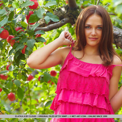 Zlatka A 008 11-zlatka-nude-gallery.jpg